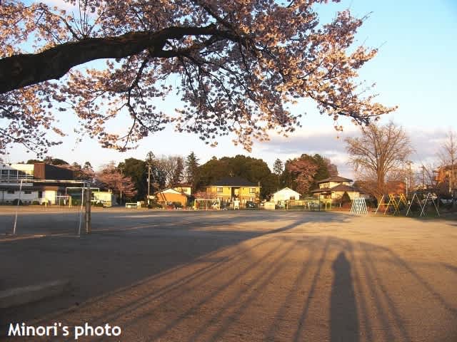 校庭に伸びる影 みのり写真ブログ 校庭に伸びる影 みのり写真ブログ