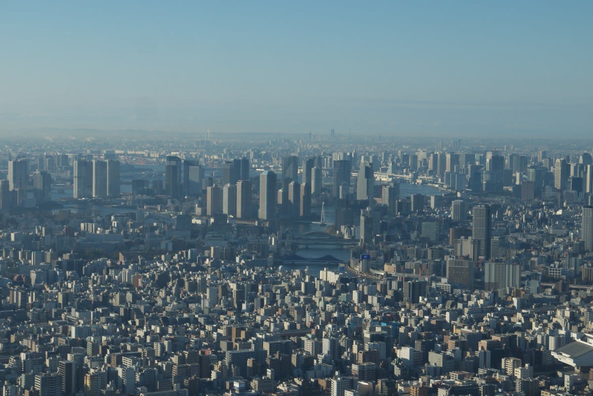 １月の東京スカイツリー フロア３５０から南西 西方向 東京駅 新宿駅 緑には 東京しかない