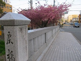 イメージ 10