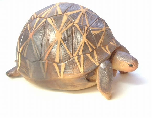 笠間焼・大崎透さん「陶の動物園」作品集 - □パンカップ店主の 笠間焼・大崎透さん「陶の動物園」作品集 - □パンカップ店主の