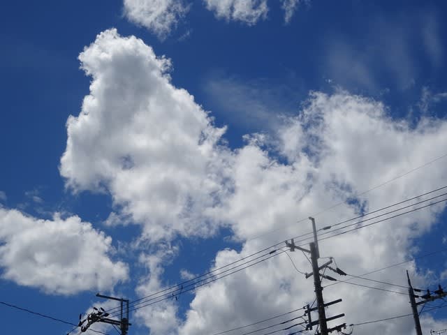 真っ青な空 気温３６度 てるこのひとり言