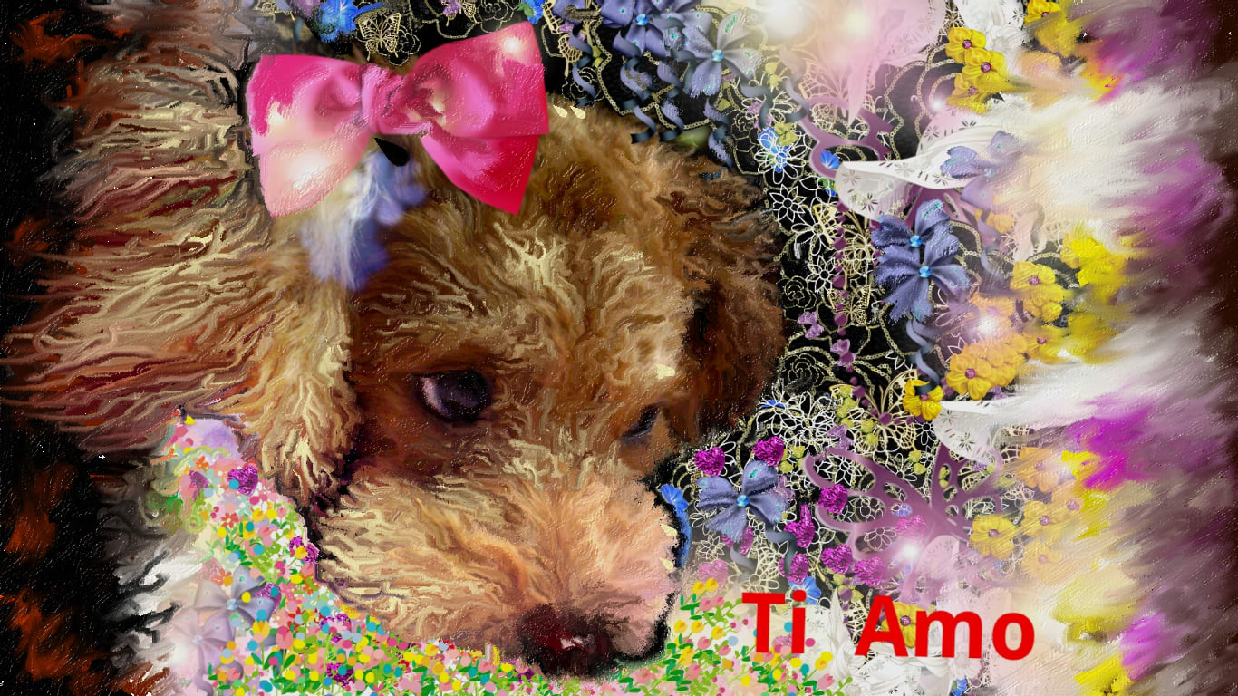 デジブック Pcソフトで絵を描く Nodasntaのイラスト集 トイプードル愛犬 Ti Amo