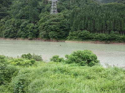 「野鳥観察舎から見たダム湖」の写真