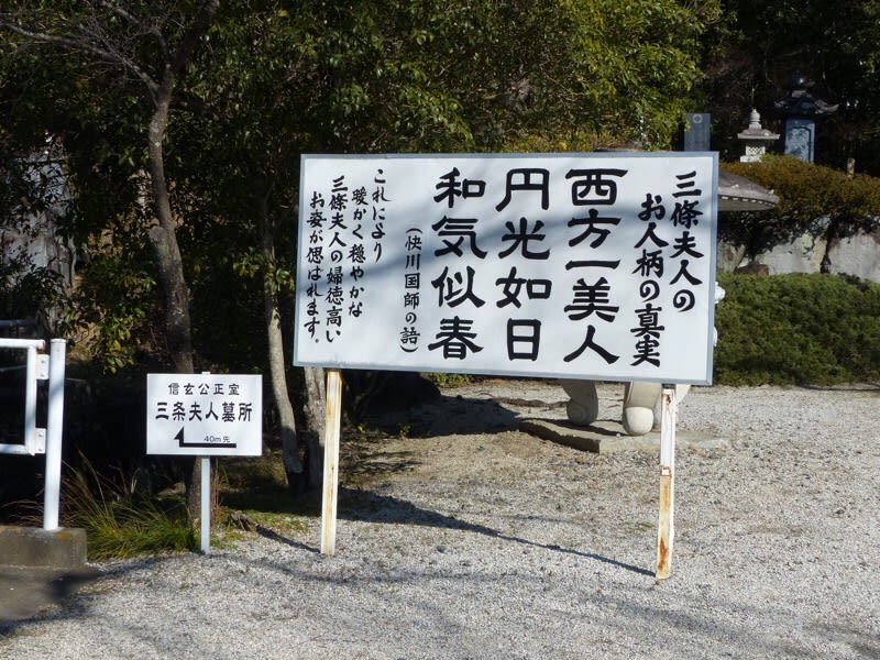 三条夫人墓所 ミモザの花咲く庭から