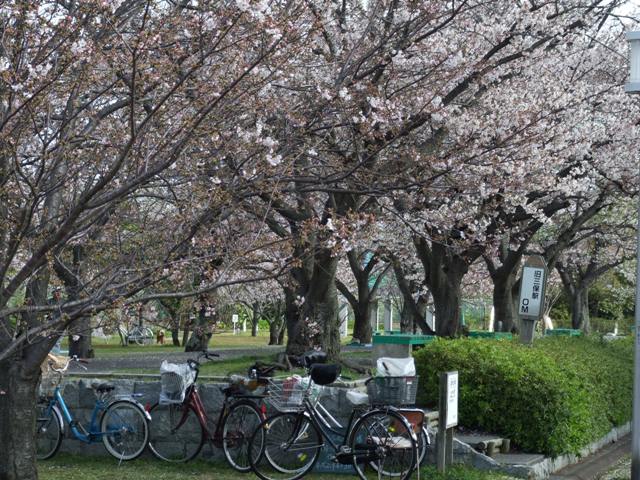 国鉄清水港線跡 （静岡県静岡市清水区） 線路跡の歩道と公園 