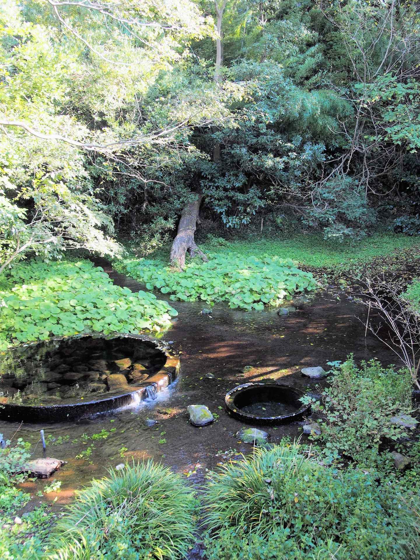 水観賞の旅！の画像