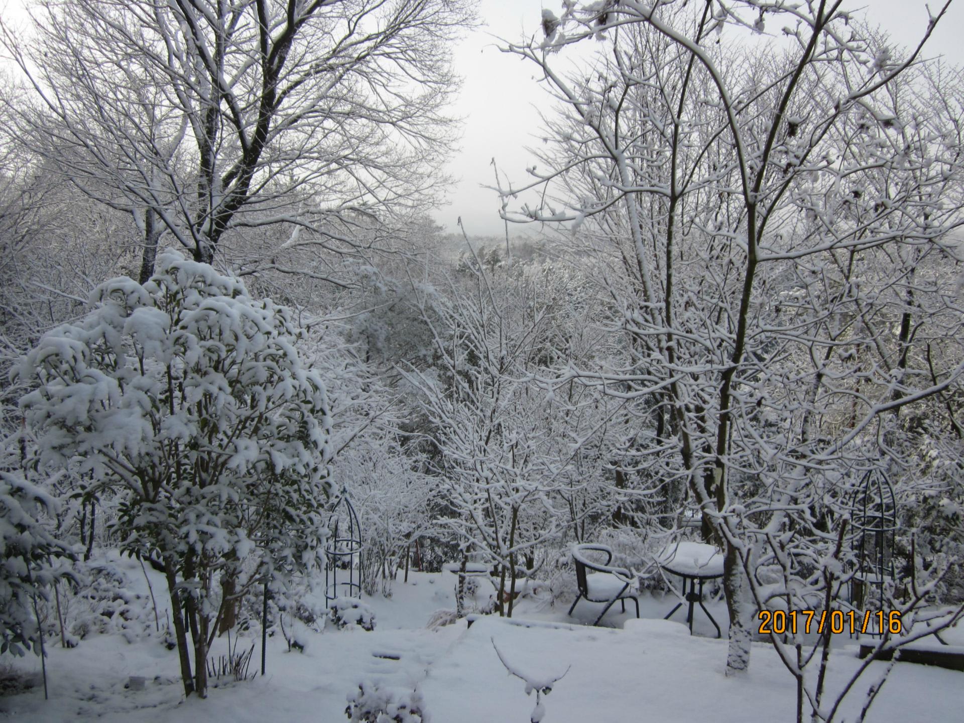 雪景色は美しい Noriba Ba S Garden