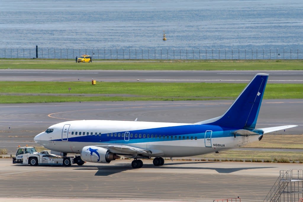 イルカちゃんの退役が始まっているようです ６月２日 羽田空港 ボンさんの飛行機写真