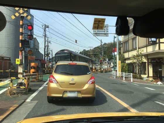 リゾートやまどり を見ました ｄａｄａが行く