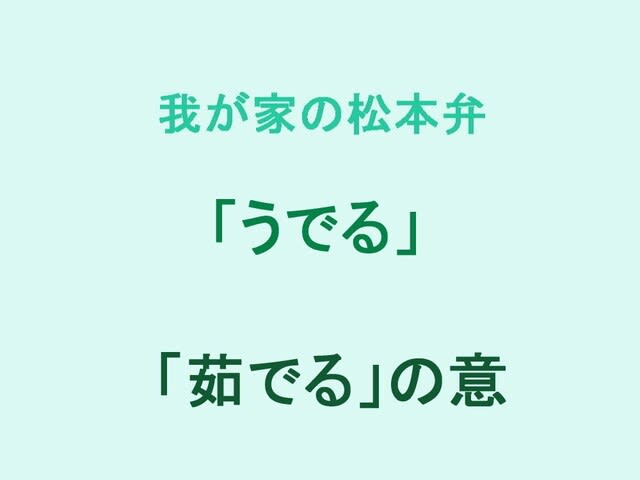 高ボッチ山頂から薄の中の散策路を下り、見晴らしの丘お花畑へと薄の小道を進みます。