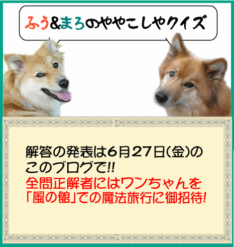 悲しみが 止まらなくなり 号泣す 雑種犬 風 ふう のひとりごと 悲しみが 止まらなくなり 号泣す 雑種犬 風 ふう のひとりごと