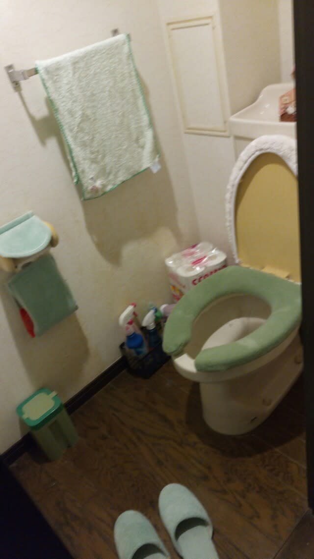 掃除記録 トイレ 三十路女の汚部屋脱出