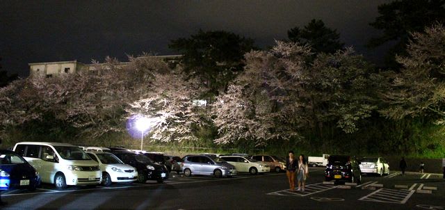 浜松城公園 夜桜 ヤスケの空