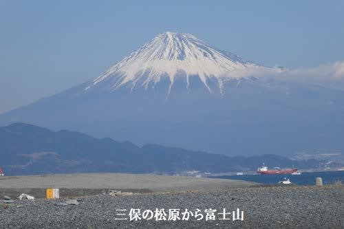 三保の松原で富士山を見る 静岡市清水区 よっちゃんのおててつないで