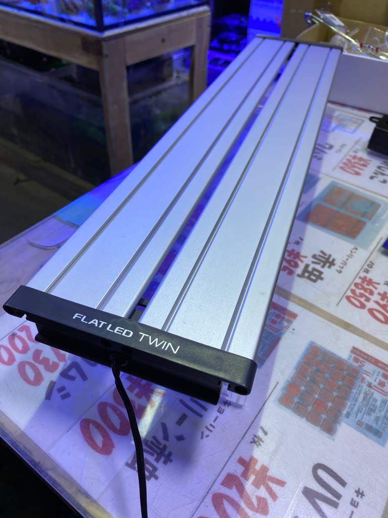 中古コトブキフラットledツイン600 熱帯魚店モンスターアクアリウム 川口店 買取販売情報 中古コトブキフラットledツイン600 熱帯魚店モンスターアクアリウム 川口店 買取販売情報