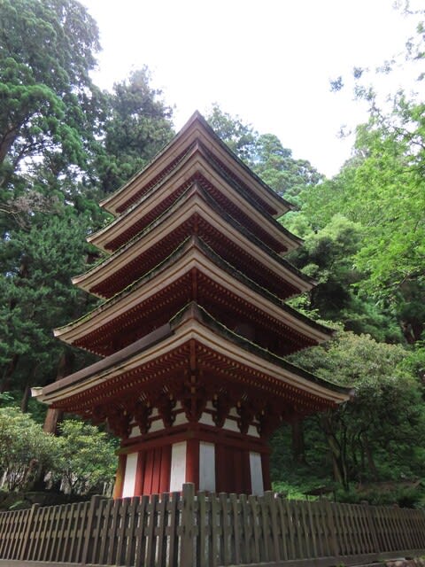 奈良の旅2023年6月　室生寺　五重塔