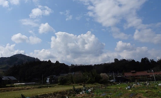 中津井村