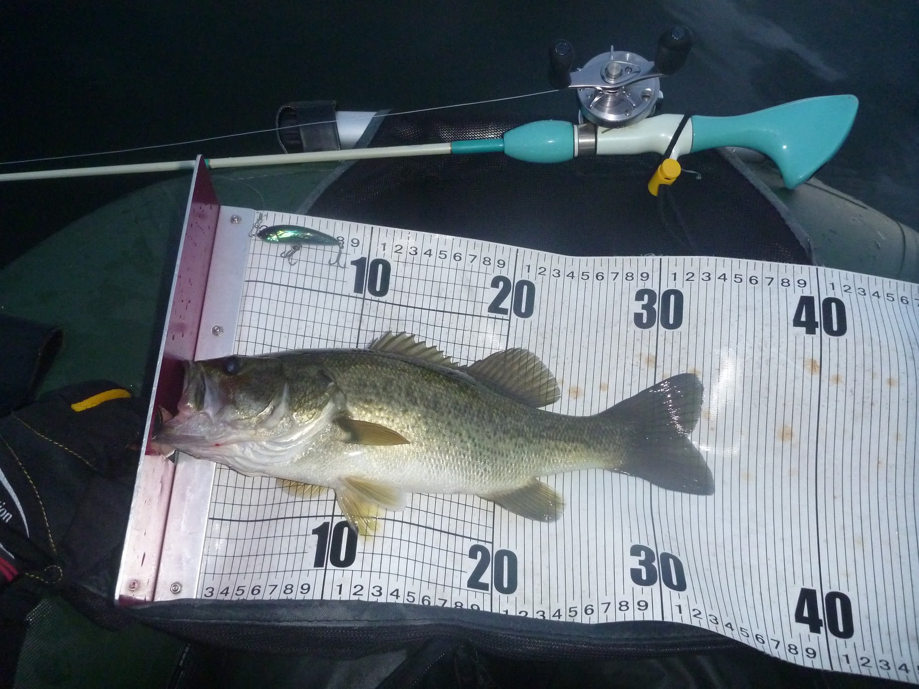 雨の降った次の日は 琵琶湖トップウォーターバス釣り日記