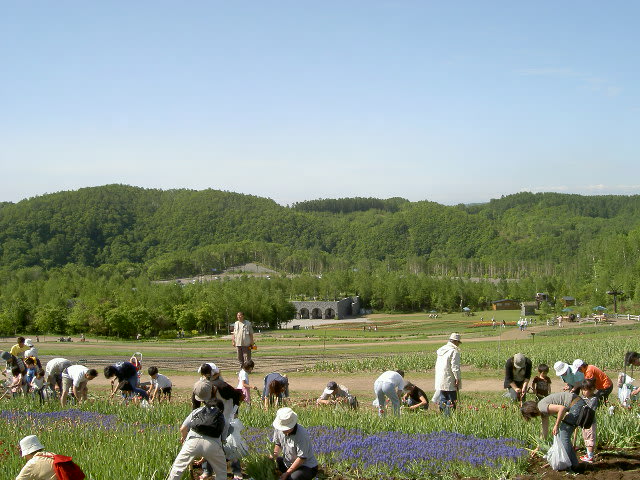 kyuukonnhori