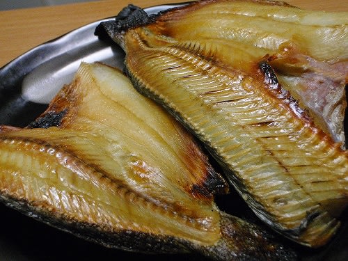 アブラコの美味しさを再度認識 へたのヨコ釣り北海道日誌
