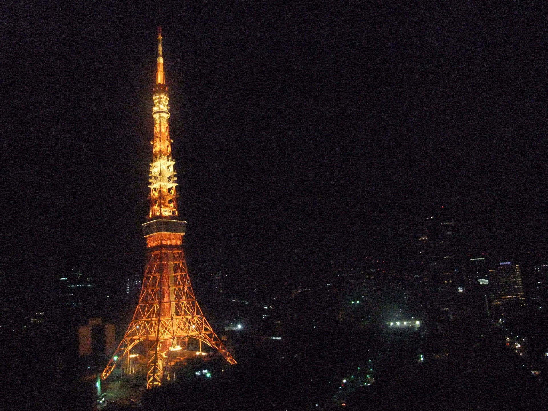 3 11大地震で東京タワーが曲がった オショロコマの森ブログ5