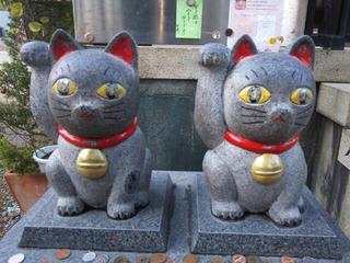 浅草 今戸神社 招き猫神社 恋愛運上昇神社 スコティッシュ フォールドのひとりごと