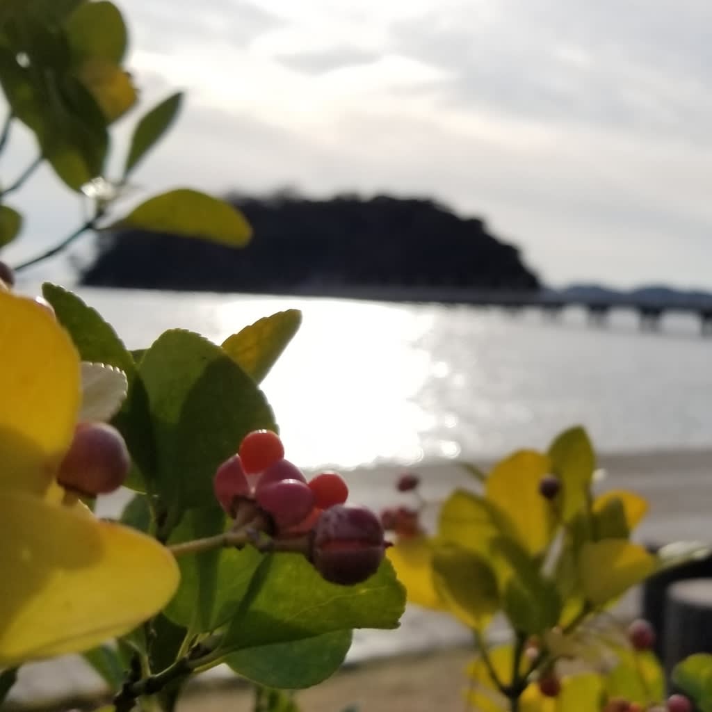 蒲郡旅行記 1 竹島 三河湾に浮かぶ小さな島 食いしん坊万歳 ほとんどb級 蒲郡旅行記 1 竹島 三河湾に浮かぶ小さな島 食いしん坊万歳 ほとんどb級