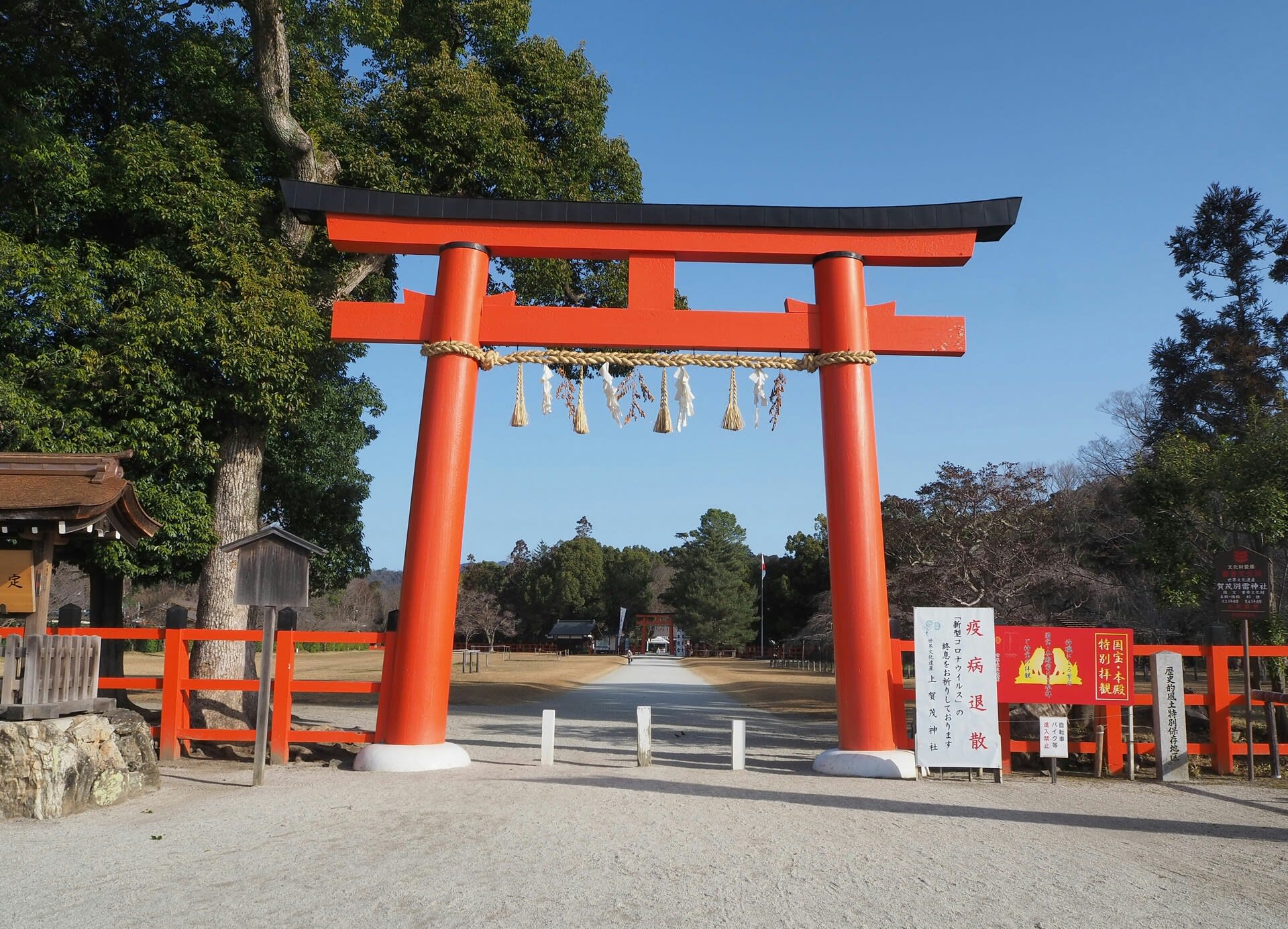 上賀茂神社の椿と梅 京都で定年後生活