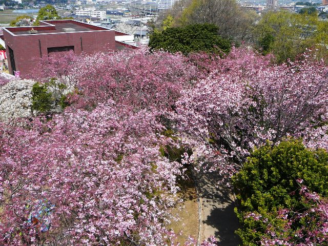 幸田文化公園の画像