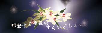 表　紙