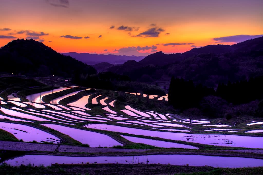 大山千枚田の写真