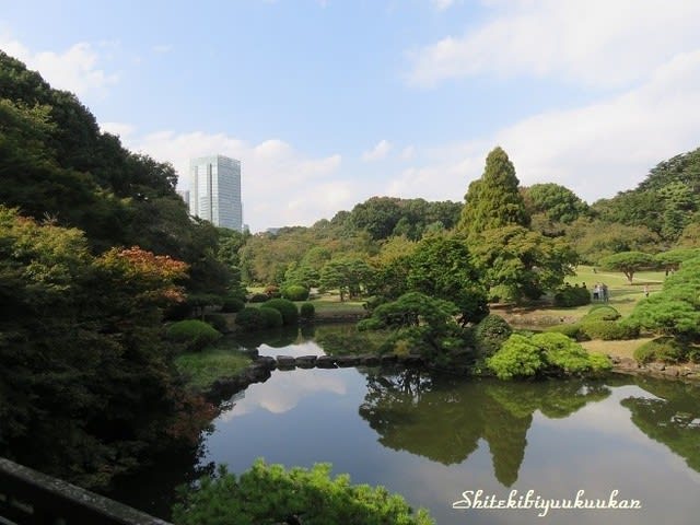 新宿御苑 日本庭園とお茶室 楽羽亭で一服頂いて来ました 私的美遊空間