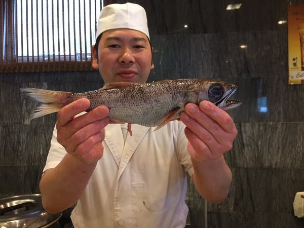 黒ムツ 風太の日々漫遊
