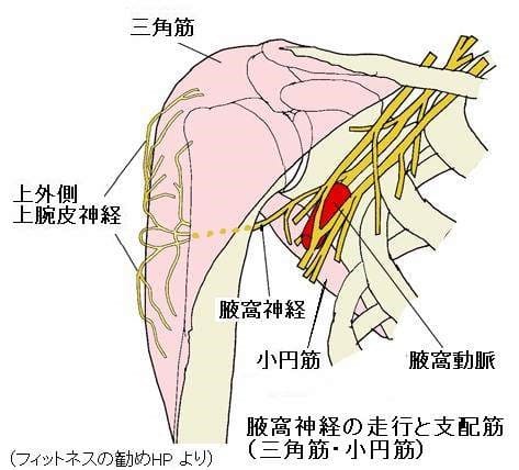 いわゆる五十肩の鍼灸治療総括17年版 現代医学的鍼灸治療