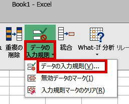 データの入力規則