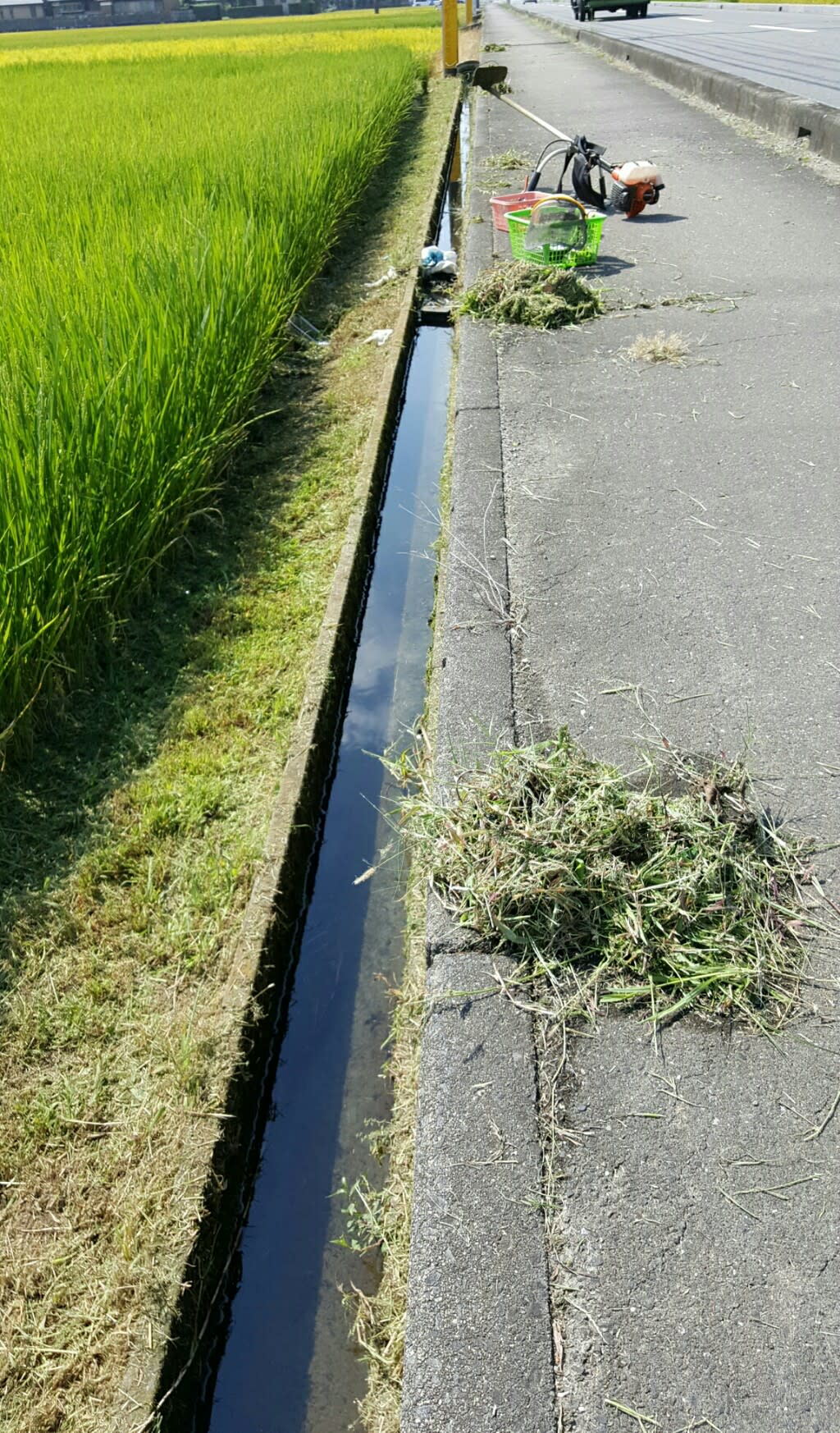 用水路と畦道の草刈り作業 一郎三郎のホッホッホー