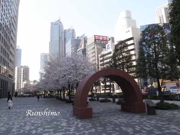 玉川上水を新宿から花小金井までマラニック ランシモ 玉川上水を新宿から花小金井までマラニック ランシモ