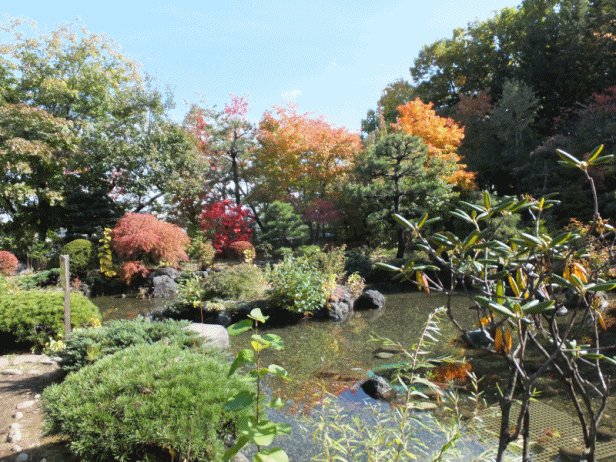 相馬神社 京都も 花も好き