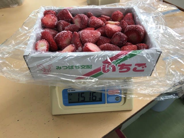 4 14から19日までイチゴ狩り行います 冷凍いちご始めました いちごの摘み取り 千葉県富津市にある富津アクアファームの いちご狩りやブルーベリー 狩りについてのブログ