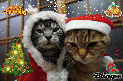 クリスマスイブ前夜祭 Anzu Hayato クリスマスイブ前夜祭 Anzu Hayato