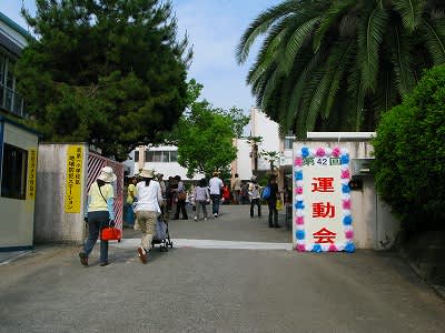 6月5日 日 南第一小学校運動会と芝生化オープン すずかけニュース 6月5日 日 南第一小学校運動会と芝生化オープン すずかけニュース