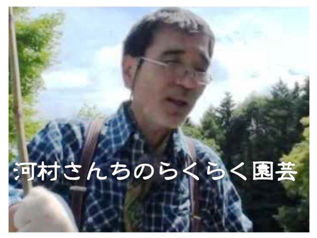 19年の最高 河村通夫 園芸 人気のある画像を投稿する 19年の最高 河村通夫 園芸 人気のある画像を投稿する