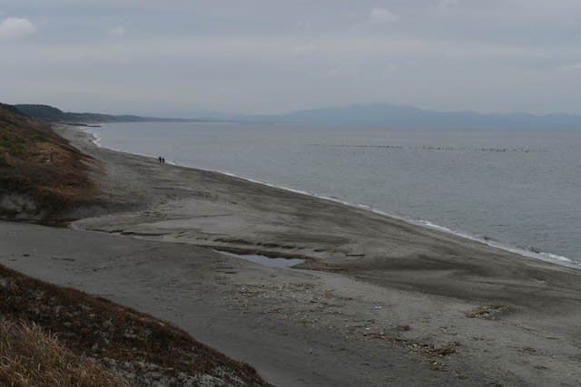 吹上浜 良型ブリ ヒット 01 17 鹿児島 花浄土鹿児島