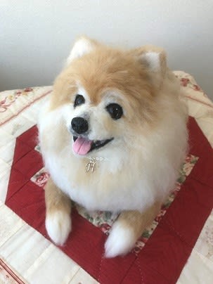 ポメラニアン ハナちゃん メモリアル みちこ工房