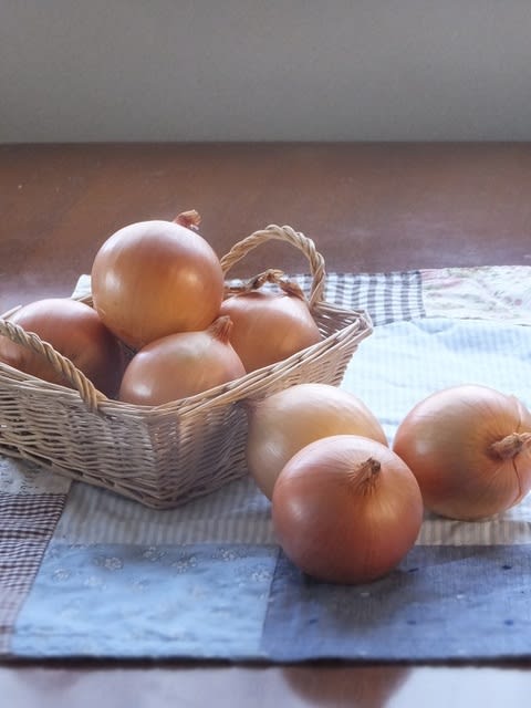小玉ねぎと長ネギ簡単レシピ 私の好きな時間