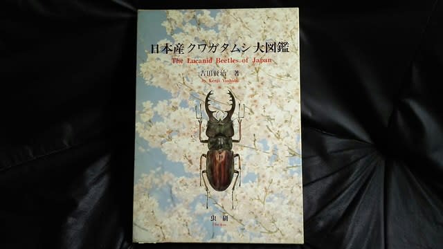 日本産クワガタムシ大図鑑 吉田賢治 著 1996年 虫研|生物学 日本産クワガタムシ大図鑑 吉田賢治 著 1996年 虫研|生物学