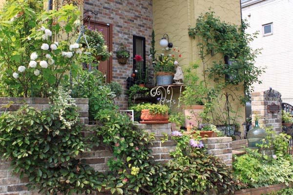 フロントガーデンの飾り方 有機栽培 無農薬の庭づくり ガーデンカウンセラーたみこさんのブログ