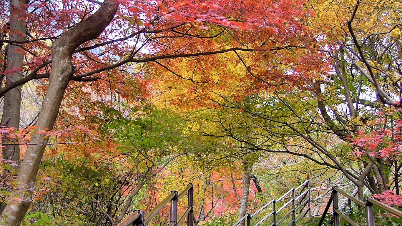 箱根の紅葉 パソコンときめき応援団 壁紙写真館