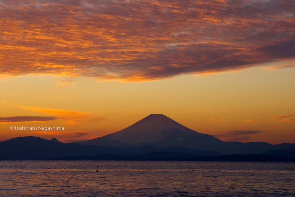 湘南葉山の夕日に照らされる富士山 水中写真家長島敏春の 生命のサンゴ礁 世界のサンゴ礁を撮り続け 自然の素晴らしさを伝えている 湘南葉山の夕日に照らされる富士山 水中写真家長島敏春の 生命のサンゴ礁 世界のサンゴ礁を撮り続け 自然の素晴らしさを伝えている