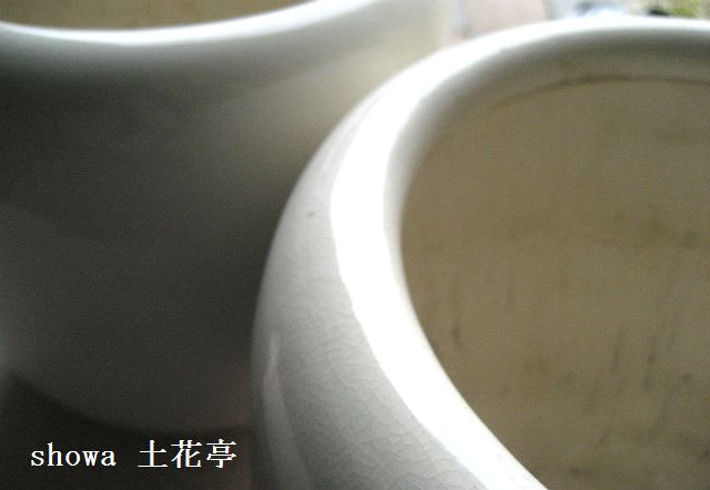 「磁器・陶器」のブログ記事一覧-古物商 showa 土花亭